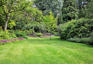 Optimiser l'expérience du jardin à Bailleulmont